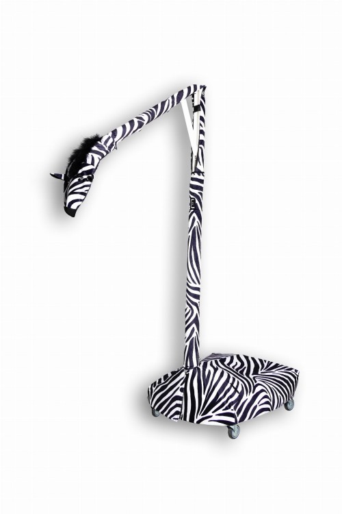 Zebra bez projektora.jpg