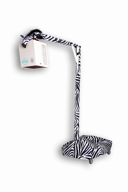 Zebra z projektorem.jpg